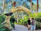 Anole lizard | Public Sculptures by Steve Nielsen Art | Pinecrest Gardens in Pinecrest
