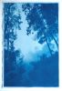Morning Mist (35 x 23" hand-printed cyanotype, ed. 1 of 3) | Photography by Christine So. Item composed of paper in country & farmhouse or rustic style