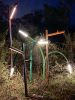 Sprout & Branch Outdoor Path Lights | Lighting by CP Lighting. Item made of steel
