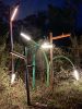 Sprout & Branch Outdoor Path Lights | Lighting by CP Lighting. Item made of steel works with minimalism & contemporary style