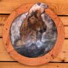 Through Your Spotting Scope | Wall Sculpture in Wall Hangings by Jeffrey H Dean | K'esugi Ken Interpretive Center in Trapper Creek. Item composed of steel