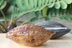 Cacao Cabosse Candle | Candle Holder in Decorative Objects by Marie Burgos Design and Collection. Item composed of ceramic