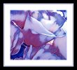 Design, Mural Art, Acriylic, Dgital Art, Wall Art, Colurs, | Wall Hangings by Ziya Tatar | Free Style in Al Khobar