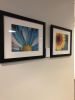 Chrysanthemum and Vibrance | Photography by Vanessa Thomas | Bank of America Mortgage in Pleasanton. Item made of paper