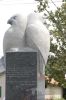 Birds of a Feather | Public Sculptures by Jim Sardonis