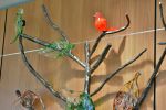 "Healing Forest" | Public Sculptures by Chris Nordin Studios | U Of M 23 Hour Hospital in Brighton