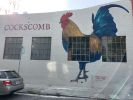 Cockscomb | Street Murals by Lindsey Millikan | Cockscomb Restaurant in San Francisco. Item made of synthetic