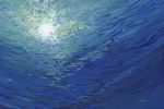 Gabriel Fine Arts, London. 'Underwater Worlds' Group Exhibition. 5 International Artists. | Oil And Acrylic Painting in Paintings by Margaret Juul | London in London. Item made of synthetic