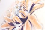 Golden Ginger | Paintings by Hannah Chloe