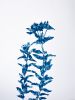 Woodland Path II: 24 x 18" unframed cyanotype painting | Mixed Media in Paintings by Christine So | Thomas Deans Fine Art in Atlanta