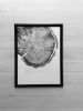 Set of 9 Tree Ring Prints | Prints by Erik Linton. Item made of paper