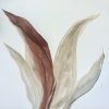 Miracle | Oil And Acrylic Painting in Paintings by Studio Maison Art by Heather O’Donovan. Item made of canvas works with boho & contemporary style