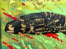 Backyard Mural | Street Murals by Heesco | Bull Bar & Gallery in Yarram. Item composed of synthetic