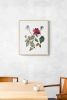 Rose Study No. 85 : Original Watercolor Painting | Paintings by Elizabeth Becker. Item made of paper compatible with boho and minimalism style