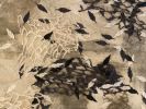 Black Winds | Mixed Media in Paintings by Vero Gonzalez Ugarte. Item made of canvas & paper compatible with contemporary style