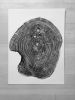 Tree Ring Art for Korean Dance Stage | Prints by Erik Linton. Item made of paper