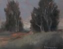 Soft Evening | Oil And Acrylic Painting in Paintings by Dee Fairweather Fine Art. Item made of canvas works with eclectic & maximalism & traditional style