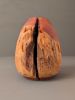Juniper Hollow Form 1 | Ornament in Decorative Objects by Wood Alchemist Studio. Item composed of wood