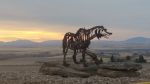 Bison and Grizzly | Public Sculptures by Wendy Klemperer Art Inc | Great Falls International Airport in Great Falls. Item composed of steel