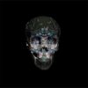 3D Lenticular Lightbox | Mixed Media by Magnus Gjoen. Item in contemporary or traditional style