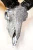 Ram Skull Covered with Swarovski Crystals | Ornament in Decorative Objects by Gypsy Mountain Skulls. Item compatible with contemporary and country & farmhouse style
