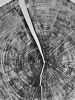 Yosemite | Prints by Erik Linton. Item made of paper works with rustic style