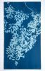 Chinese Elm Triptych (three 40 x 20" original cyanotypes) | Photography by Christine So