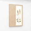 Herbarium: Rumex Acetosa - Wall Light Sculpture | Wall Sculpture in Wall Hangings by Mateusz Wappa Design & Research. Item composed of birch wood and glass in minimalism or modern style