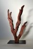 Ancient Tree II - Small Wood Sculpture | Sculptures by Lutz Hornischer - Sculptures in Wood & Plaster. Item composed of wood in contemporary or country & farmhouse style