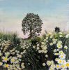 Daisies | Oil And Acrylic Painting in Paintings by Sarah Stivers. Item composed of canvas and synthetic