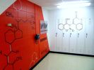 Madison Science Museum Mural | Murals by Mike Lroy | Wisconsin Science Museum in Madison. Item made of synthetic
