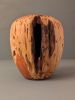 Juniper Hollow Form 2 | Ornament in Decorative Objects by Wood Alchemist Studio. Item made of wood