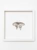 cocooning & metamorphosis collection | Prints by Tania Love. Item made of paper