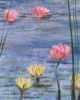 Water Lily Reverie | Oil And Acrylic Painting in Paintings by Elizabeth MacLean. Item compatible with contemporary and coastal style