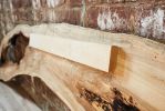 Live Edge Spalted Maple Wall Hanging | Wall Sculpture in Wall Hangings by Alicia Dietz Studios. Item composed of maple wood