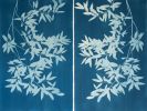 Bay Laurel Diptych: Two 40 x 26" original cyanotypes/ 40x52" | Photography by Christine So. Item composed of paper in boho or japandi style