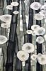Bamboo Spirits | Oil And Acrylic Painting in Paintings by Cudra Clover. Item made of synthetic
