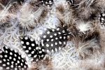 White dot feather | Oil And Acrylic Painting in Paintings by Irena Orlov. Item made of canvas with synthetic