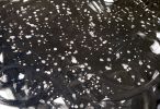 Intuition | 41x31 | Large Abstract Black And White | Oil And Acrylic Painting in Paintings by Jacob von Sternberg Large Abstracts. Item composed of canvas & synthetic
