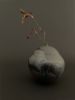 RWH-54 | Vase in Vases & Vessels by Rosa Wiland Holmes. Item composed of stoneware
