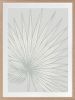 Nobilis Palm - 1 & 2 & 3 - Tide - Framed Art | Prints by Patricia Braune. Item made of canvas & paper