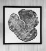 Pennsylvania Sugar Maple | Prints by Erik Linton. Item made of paper