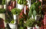 Natufia Smart Garden | Living Wall in Plants & Landscape by NATUFIA Corp