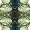 Green Palms 2 | Prints by Stephanie Mill. Item made of paper