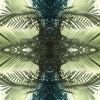 Green Palms 2 | Prints by Stephanie Mill. Item made of paper