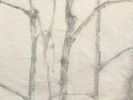 forest, chalk paint on kozo paper | Drawings by Tania Love. Item composed of paper and synthetic