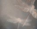 Dance of the Dragonflies | Prints by Suzann Kaltbaum. Item made of metal