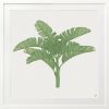 Tropical Plantation - 1 & 2 & 3 - Green - Framed Art | Prints by Patricia Braune. Item composed of paper