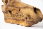 (Death by Excess) – A Conceptual Memento Mori in Pear Wood | Decorative Objects by Holzkunst Samuel Meisinger. Item made of wood works with art deco & traditional style