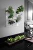 Indoor Herb Wall Planter Greenwall - Pandemic Design Studio | Vases & Vessels by Pandemic Design Studio | Philadelphia in Philadelphia